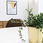 Italianway Easy - Palazzi 6 *